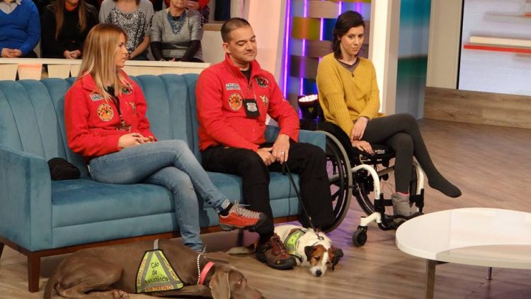 Cães de assistência melhoram a vida de pessoas com deficiência