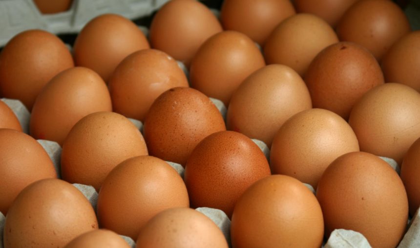 Como saber se os ovos estão estragados?