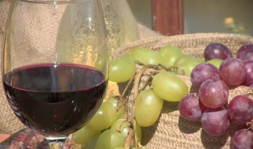 Harmonização de vinhos e comidas