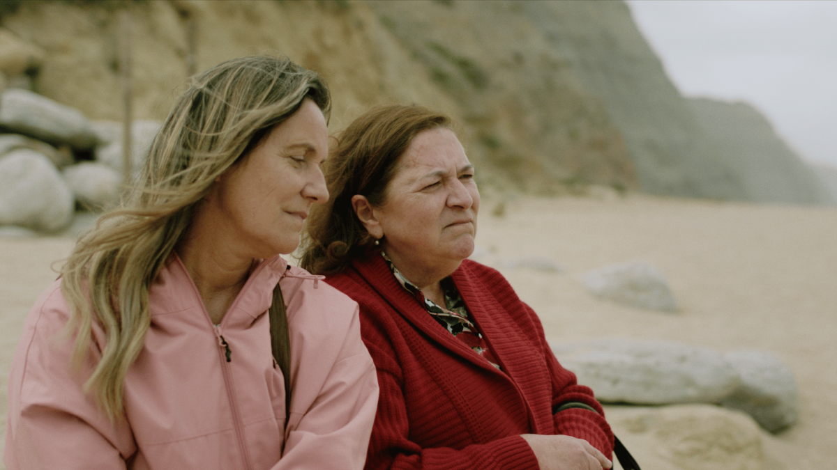 Imagem de SAFE SHELTER