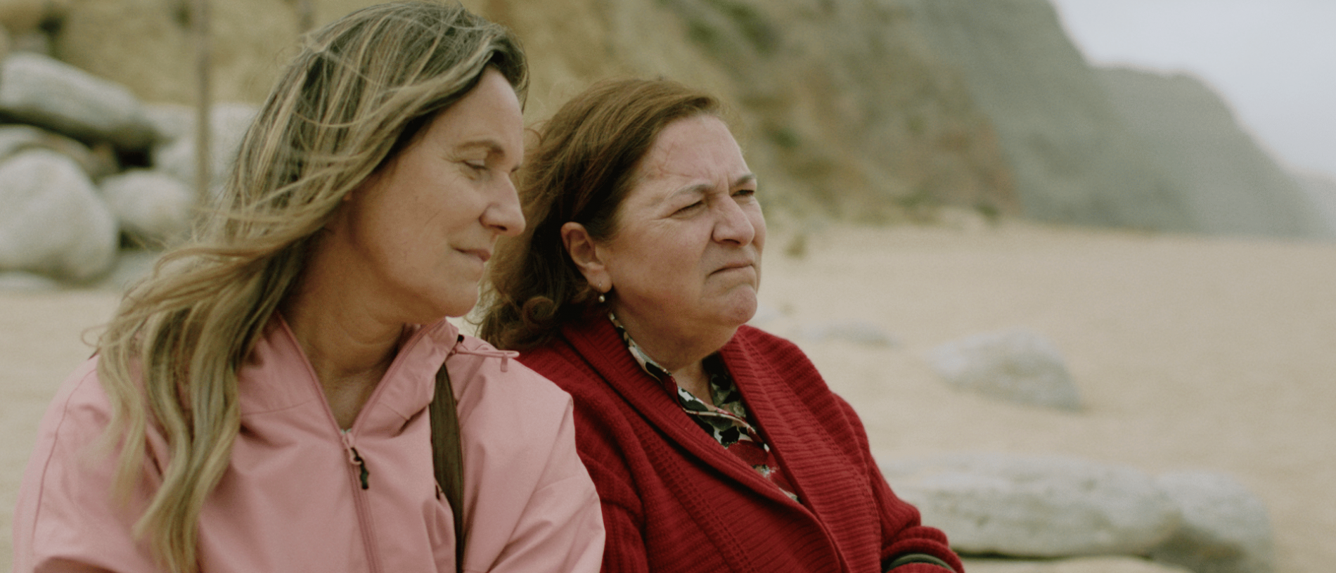 Imagem de SAFE SHELTER