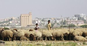 Áreas agrícolas da Síria e Iraque