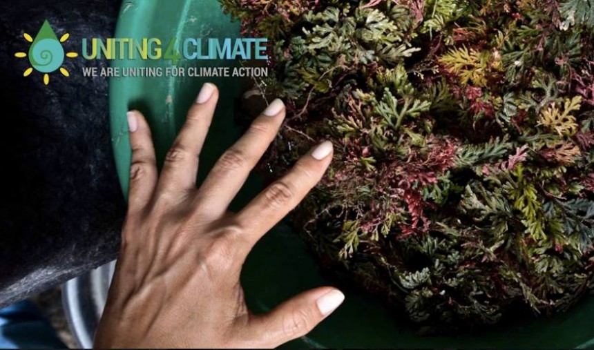 #Uniting4Climate: a mais recente competição contra o aquecimento global