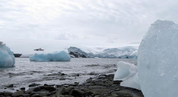 Alterações climáticas. Degelo de glaciares pode libertar toneladas de bactérias