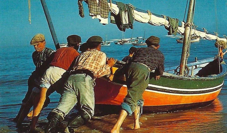 O Alar da Rede: na pesca da sardinha