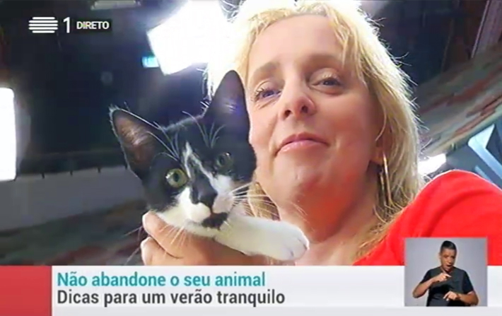 Que Cuidados Devemos Ter com os Nossos Animais, Especialmente no Verão?