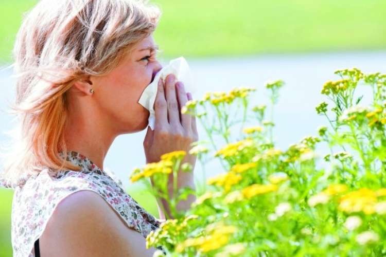 Conheça as plantas que ajudam nas alergias!