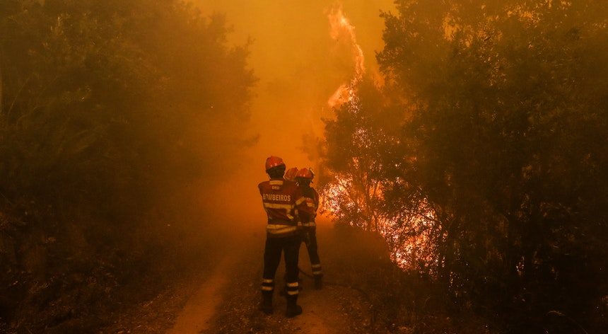 D. Januário Torgal Ferreira - Os incêndios em Portugal