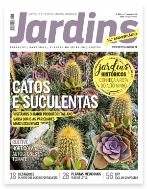 Passatempo n’ Praça da Alegria – Revista Jardins
