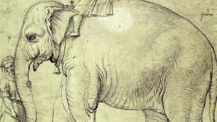 A entrada em Itália da elefanta envidada por D.Manuel ao Papa Leão X fez História