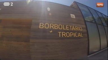 Repórter Mosca visita o Borboletário Tropical