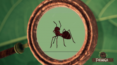 Exploradores da Natureza: Formiga