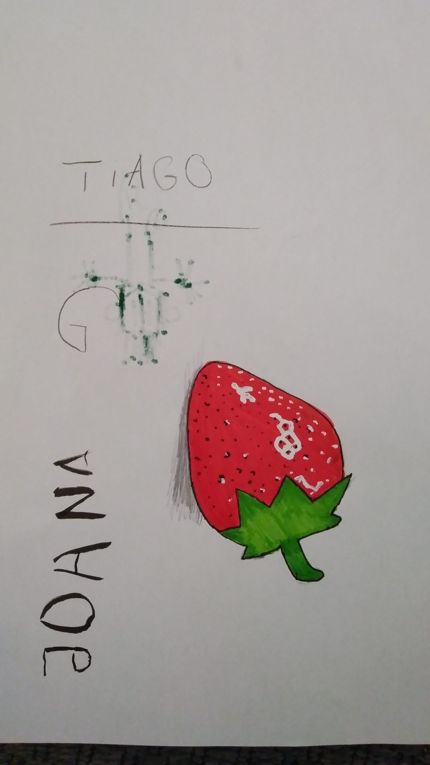 Tiago e Diogo desenhos.